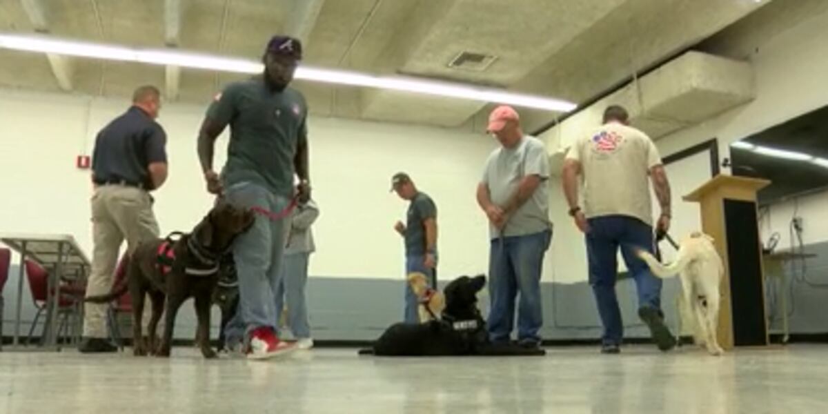 Paws Program Va PAWS program takes dogs from shelter to service for veterans with PTSD