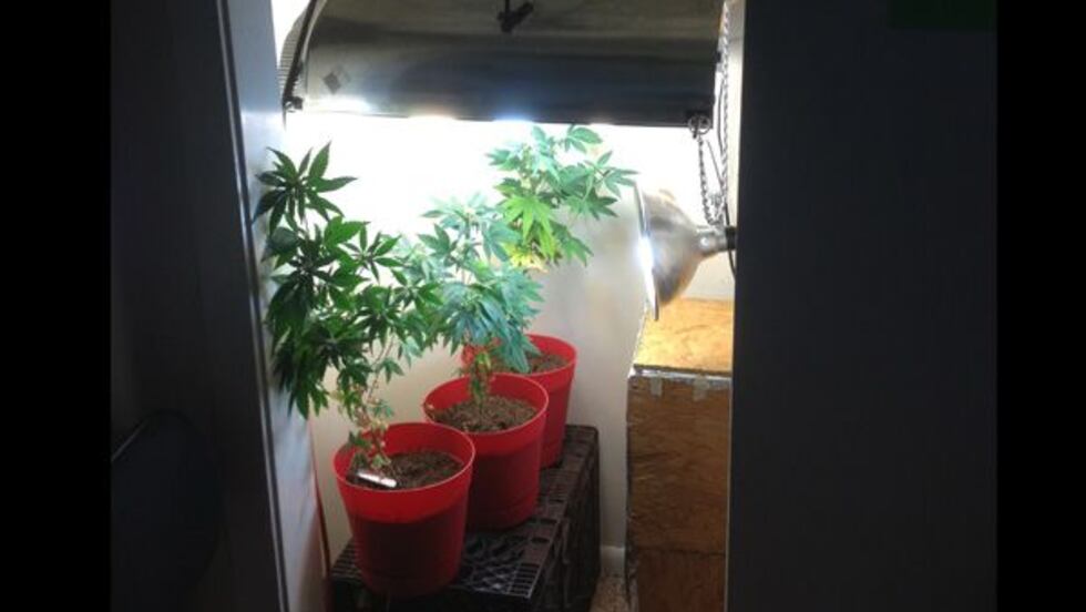 Clinton Pullen Man arrested for growing pot after skipping court date