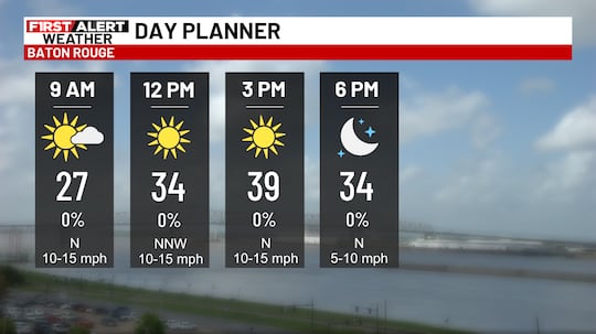 Today's forecast features cold temperatures and a northerly freeze, making it feel frigid...