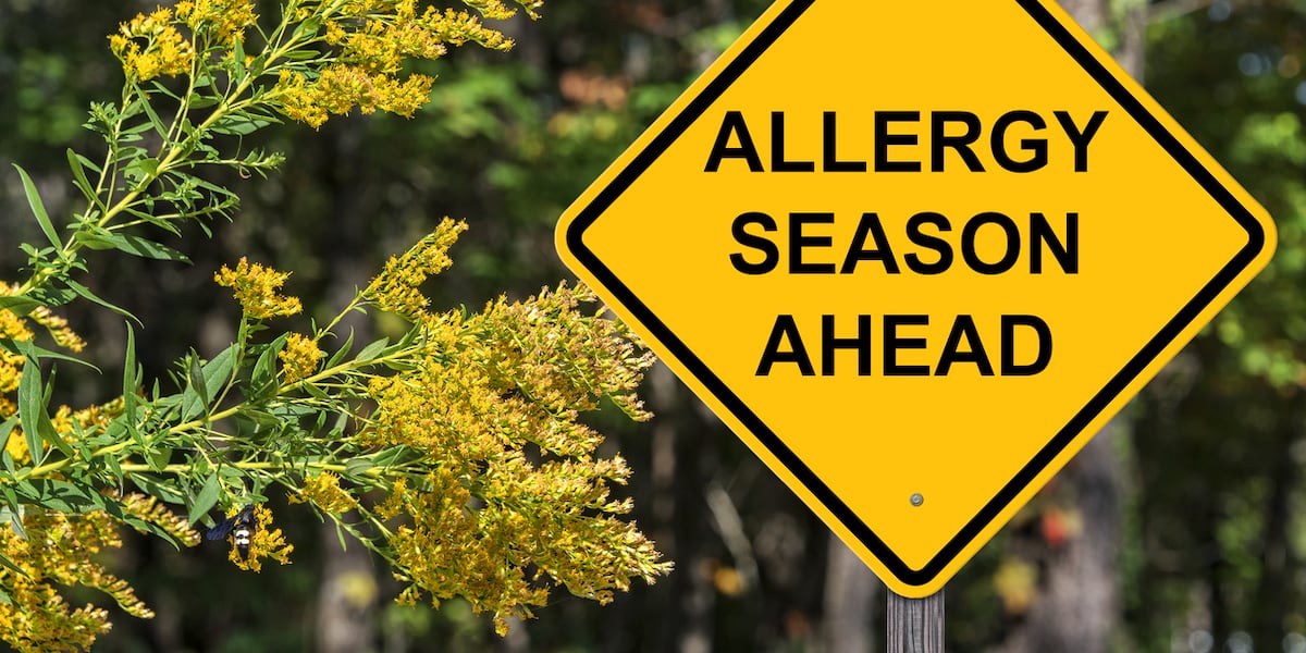Spring Va Fall Allergy Spring allergy season returns; experts share what to know