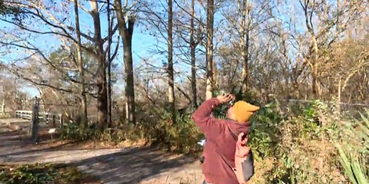 HEART OF LOUISIANA: Winter Birds HEART OF LOUISIANA: Winter Birds