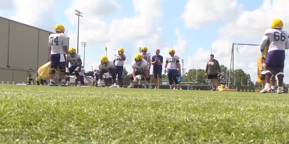 LSU Tigers in the trenches