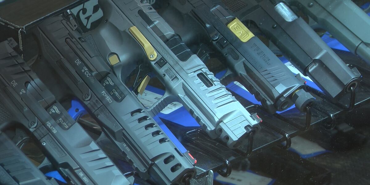 Expert discusses gun security and ways to prevent accidental shooting ...