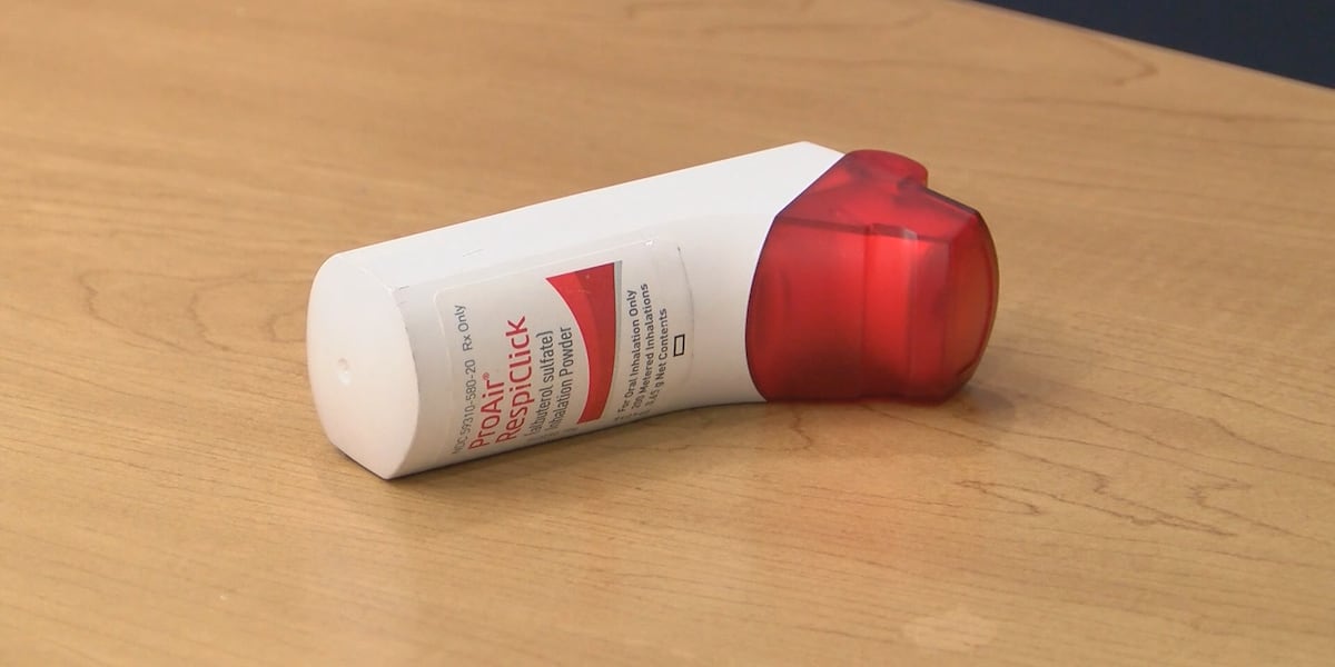 LSU researchers study whether home air quality improvements can ease childhood asthma