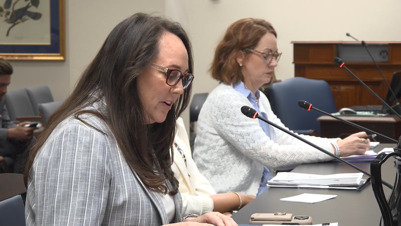 dcfs sec in committee testifying over 2025 audit