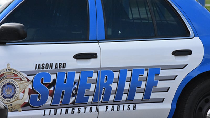 Homeowner interrupts burglary in Livingston Parish deputies say Homeowner interrupts burglary in Livingston Parish deputies say