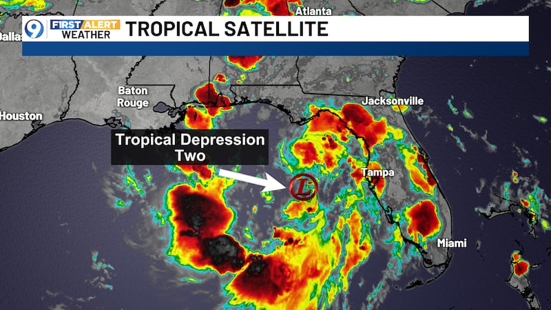 Tropical Depression Two