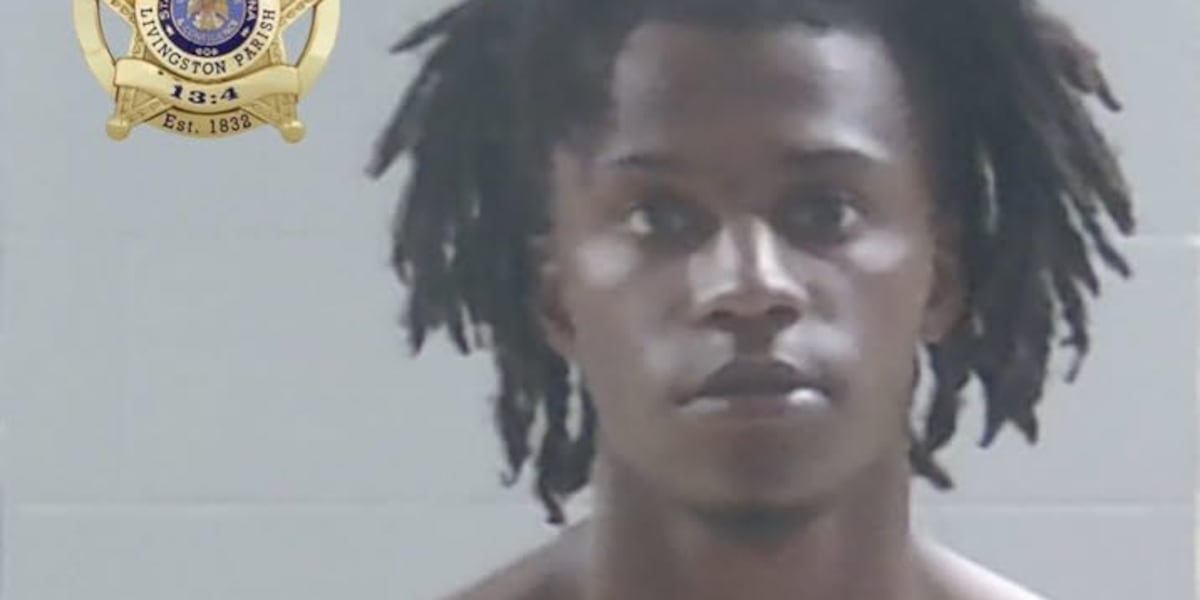 Man wearing ankle monitor taken into custody after fleeing from stolen car, sheriff says