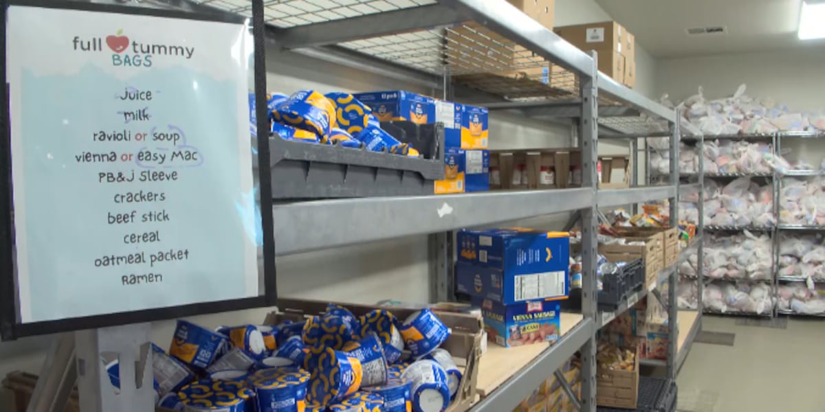 Mighty Moms seeks food donations ahead of the new school year