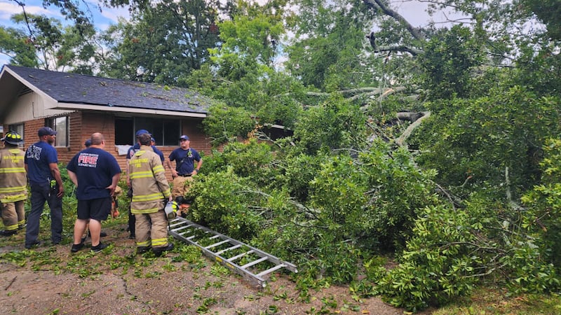 3 residents helped to safety after large tree falls on home during storms