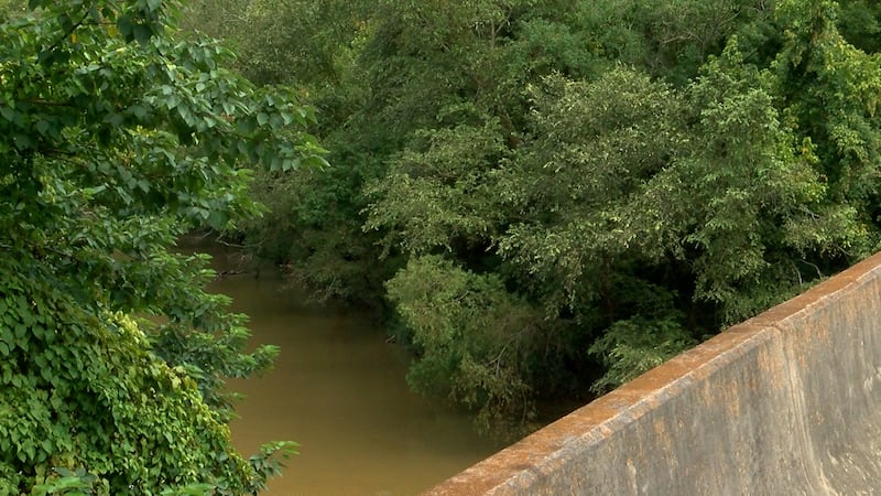 Amite River