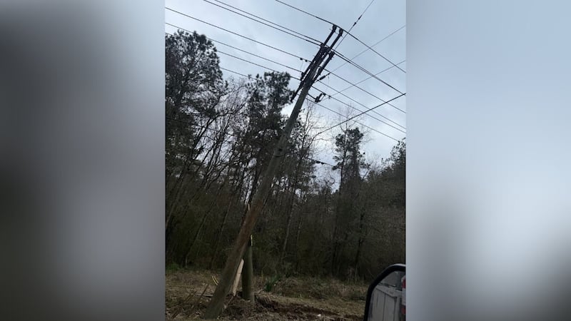 Some residents may experience a temporary power outage in Livingston Parish as DEMCO crews...