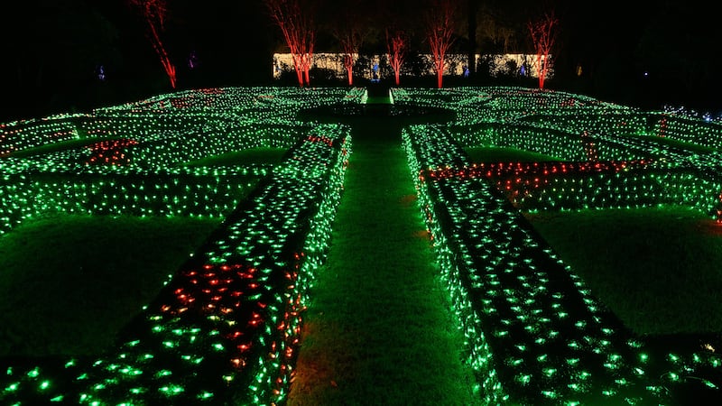 The ‘Louisiana Lights’ at the historic Windrush Gardens at Burden are the newest attraction to...