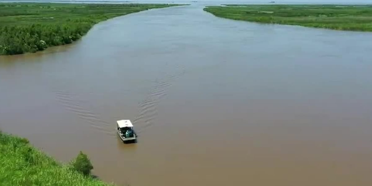 Deadly flesh-eating bacteria kills 4 in Louisiana