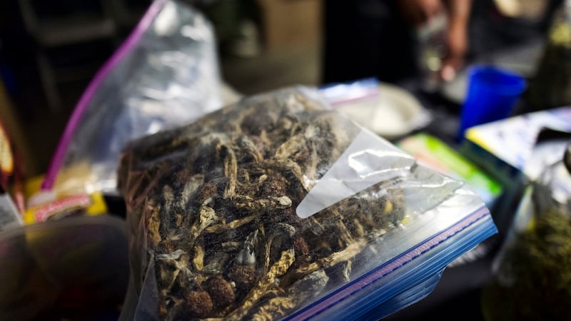 A vendor bags psilocybin mushrooms at a pop-up cannabis market in Los Angeles on Monday, May...