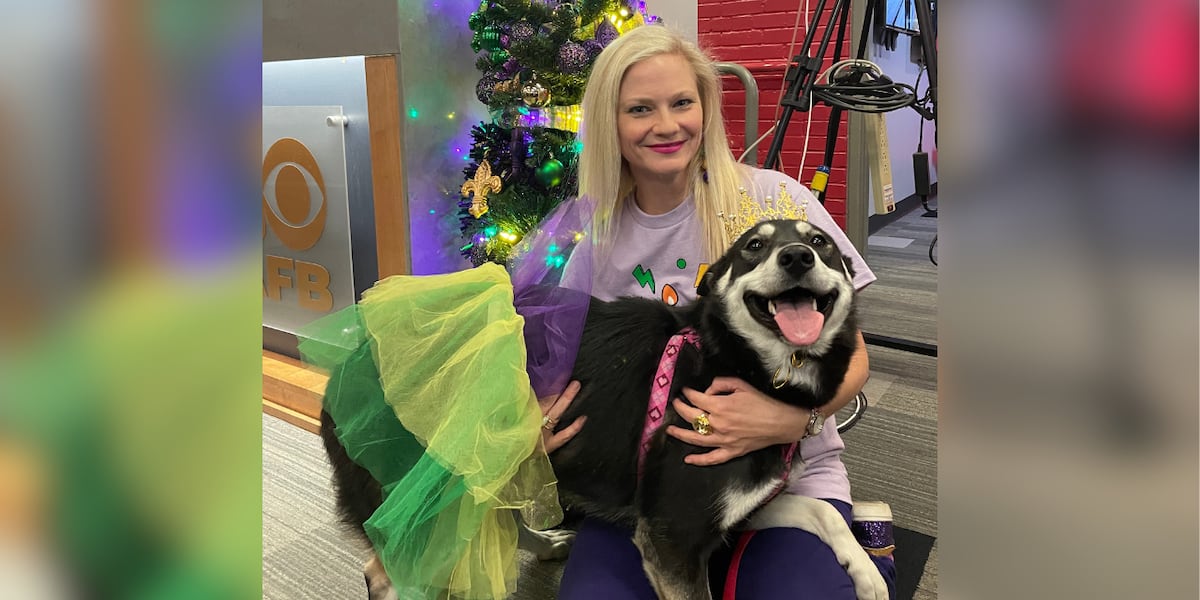Dogs to fill downtown BR for CAAWS Mystic Krewe of Mutts Parade