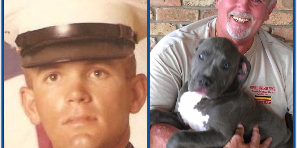 I-TEAM : Who is Herman Hall, man killed in crash allegedly caused by ...