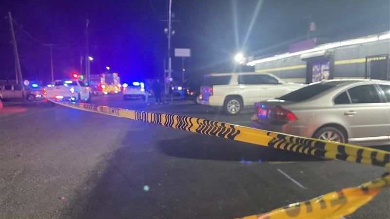 Beechwood and Sycamore shooting