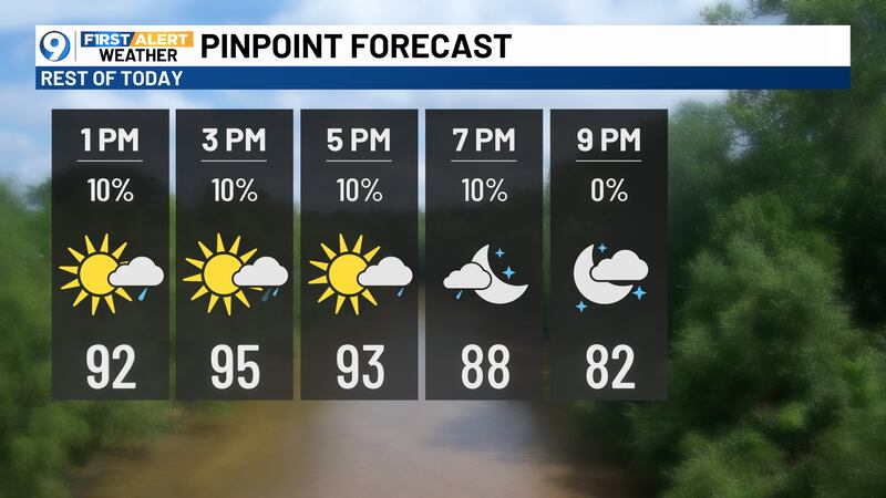 Check The Forecasts Forecast