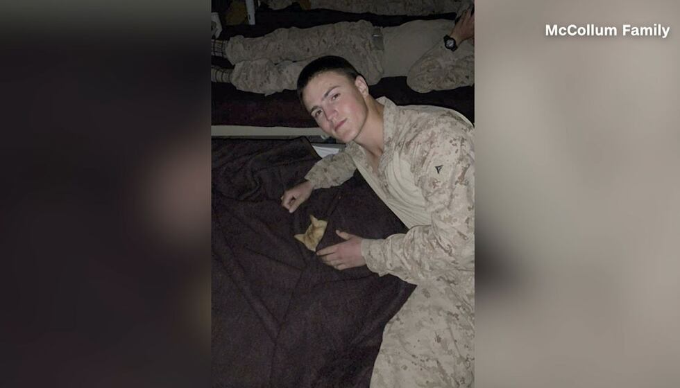 Lcpl Rylee Mccollum Young dad-to-be was among 13 US troops killed in Afghanistan