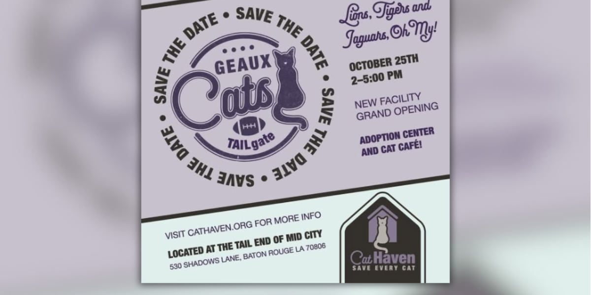 Cat café to open this fall alongside Baton Rouge rescue's new adoption center