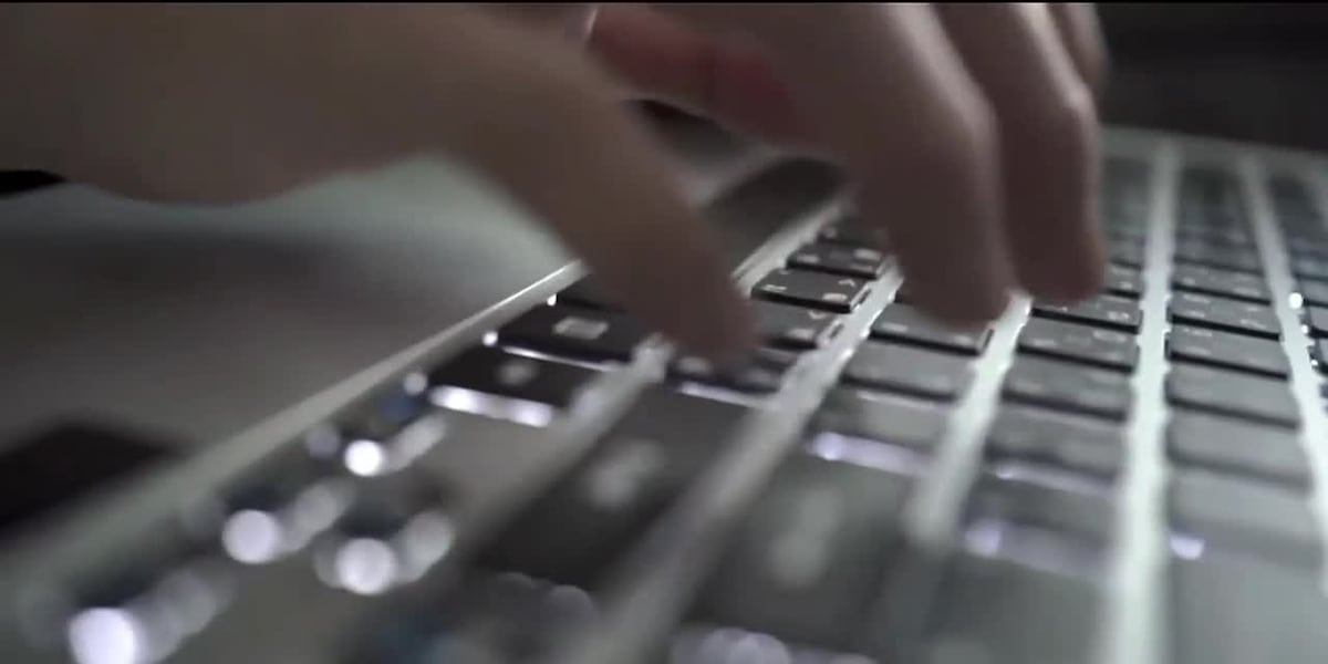 Information from all La. driver’s licenses likely taken in hack ...