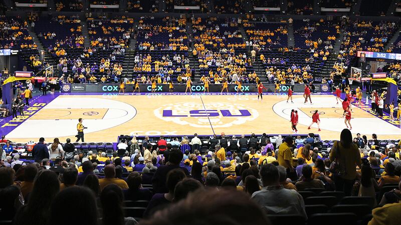 Dale Brown Court