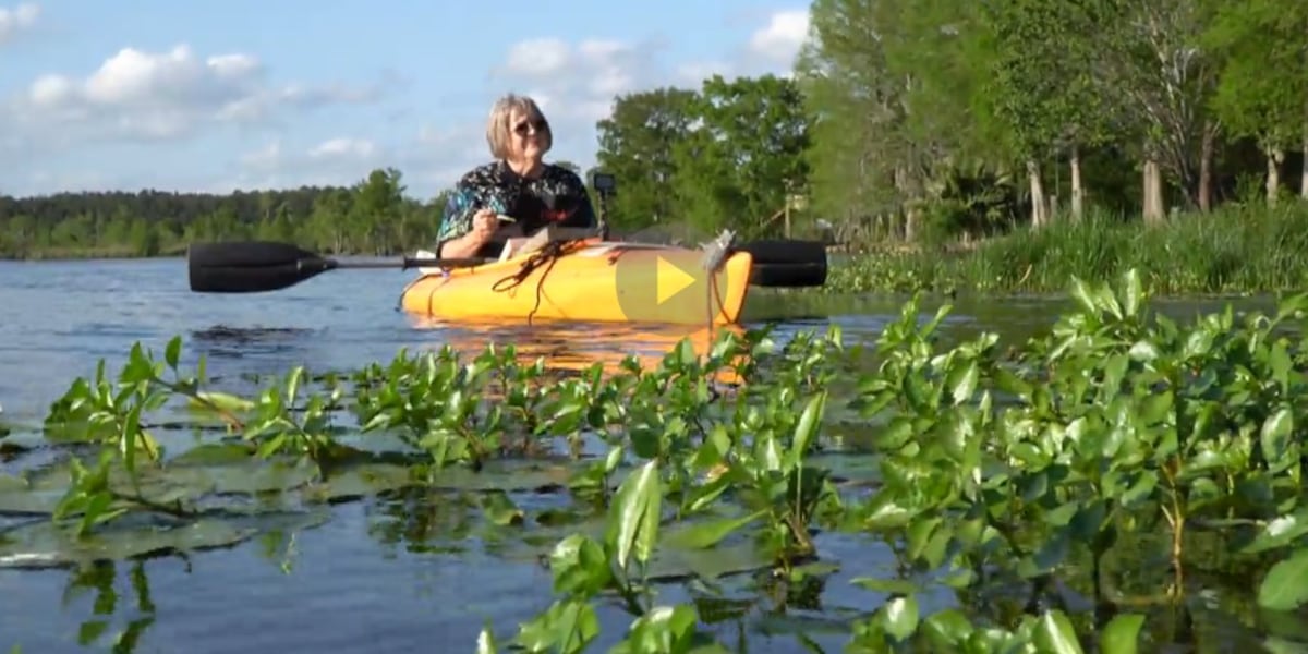 HEART OF LOUISIANA: Kayak Artist HEART OF LOUISIANA: Kayak Artist
