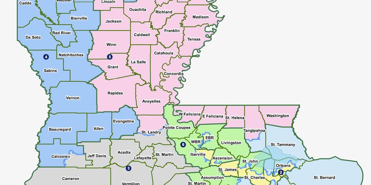 Louisiana could owe $2.2 million in legal fees after losing redistricting case