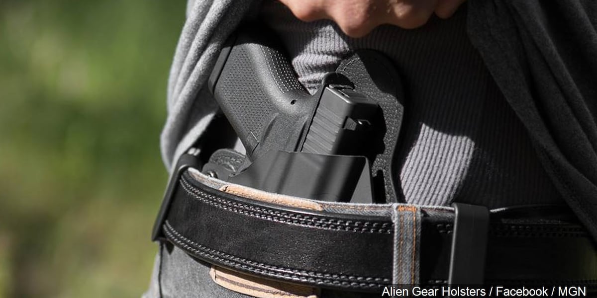 Lawmaker will make another attempt to toss out concealed carry permit ...