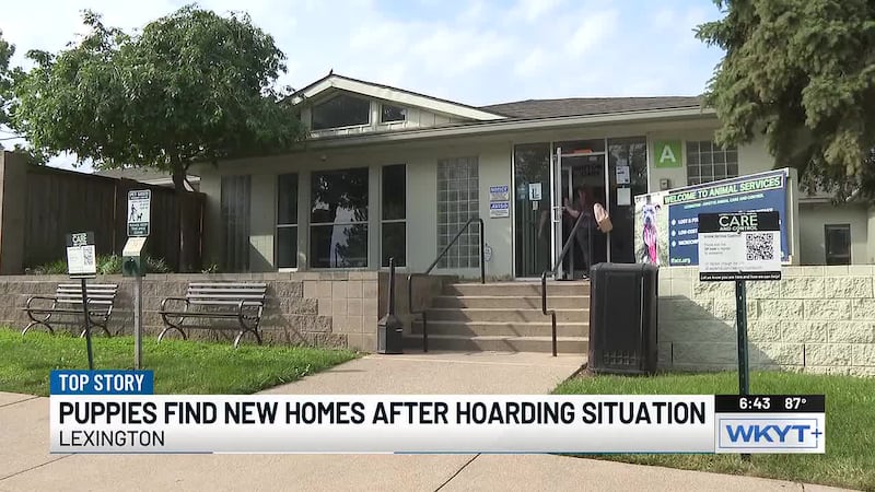 Eight puppies find homes after rescue from hoarding situation