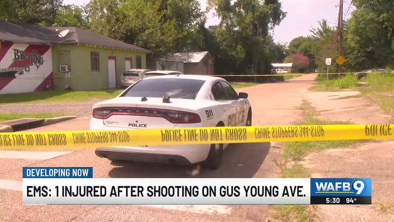 Officials with the Baton Rouge Emergency Medical Services confirmed one person was seriously...